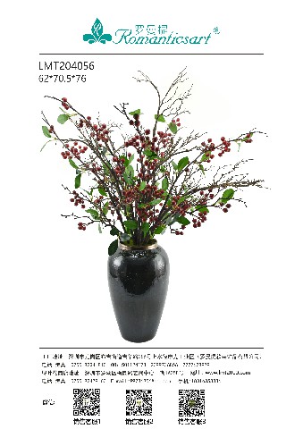 LMT204056