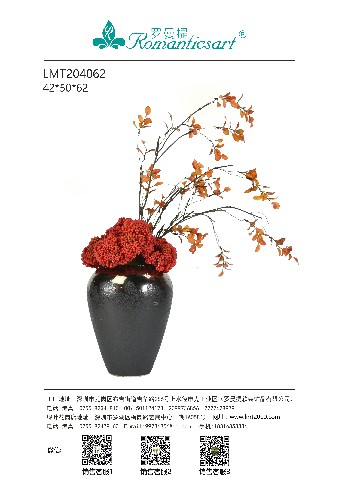LMT204062