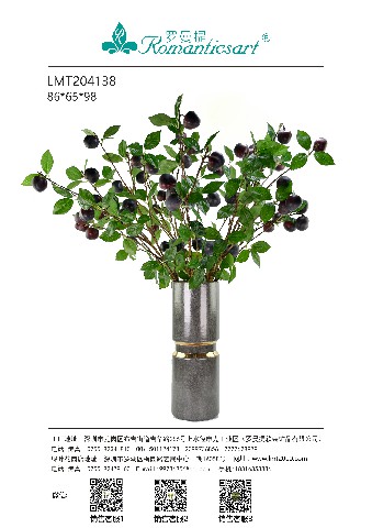 LMT204138